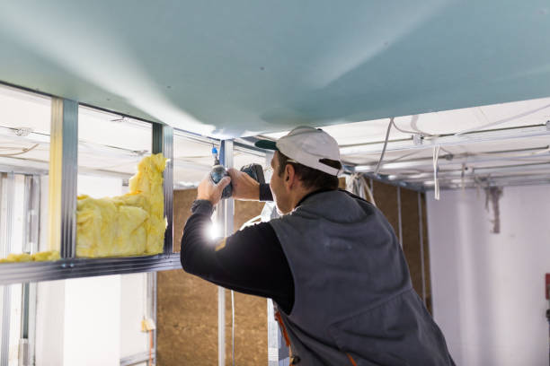Best Wall Insulation Contractor  in West Park, FL