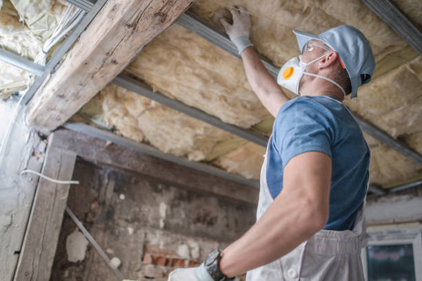 Best Insulation for New Construction  in West Park, FL