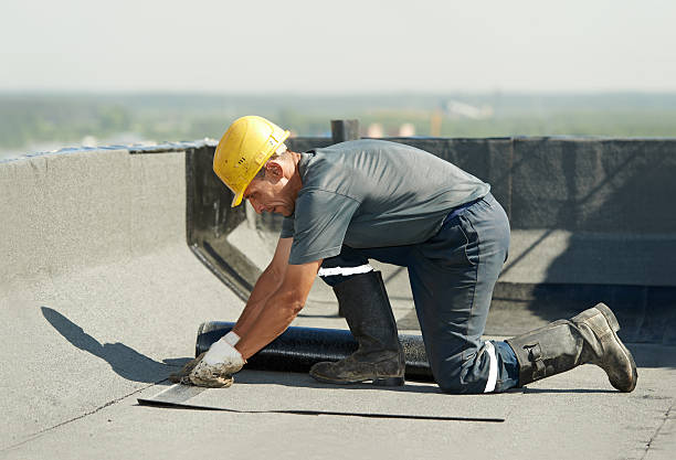 Best Insulation Repair Services  in West Park, FL