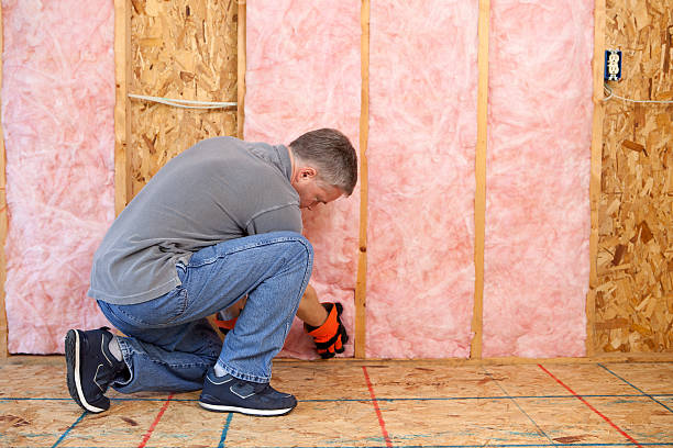 Best Home Insulation Services  in West Park, FL